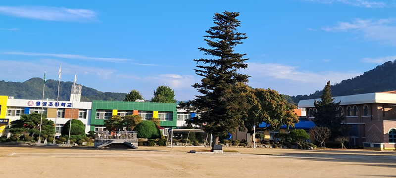 현재 용성초등학교 전경
